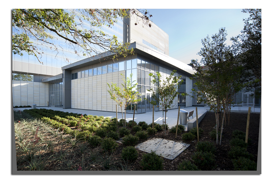 Health and Biomedical Sciences Building